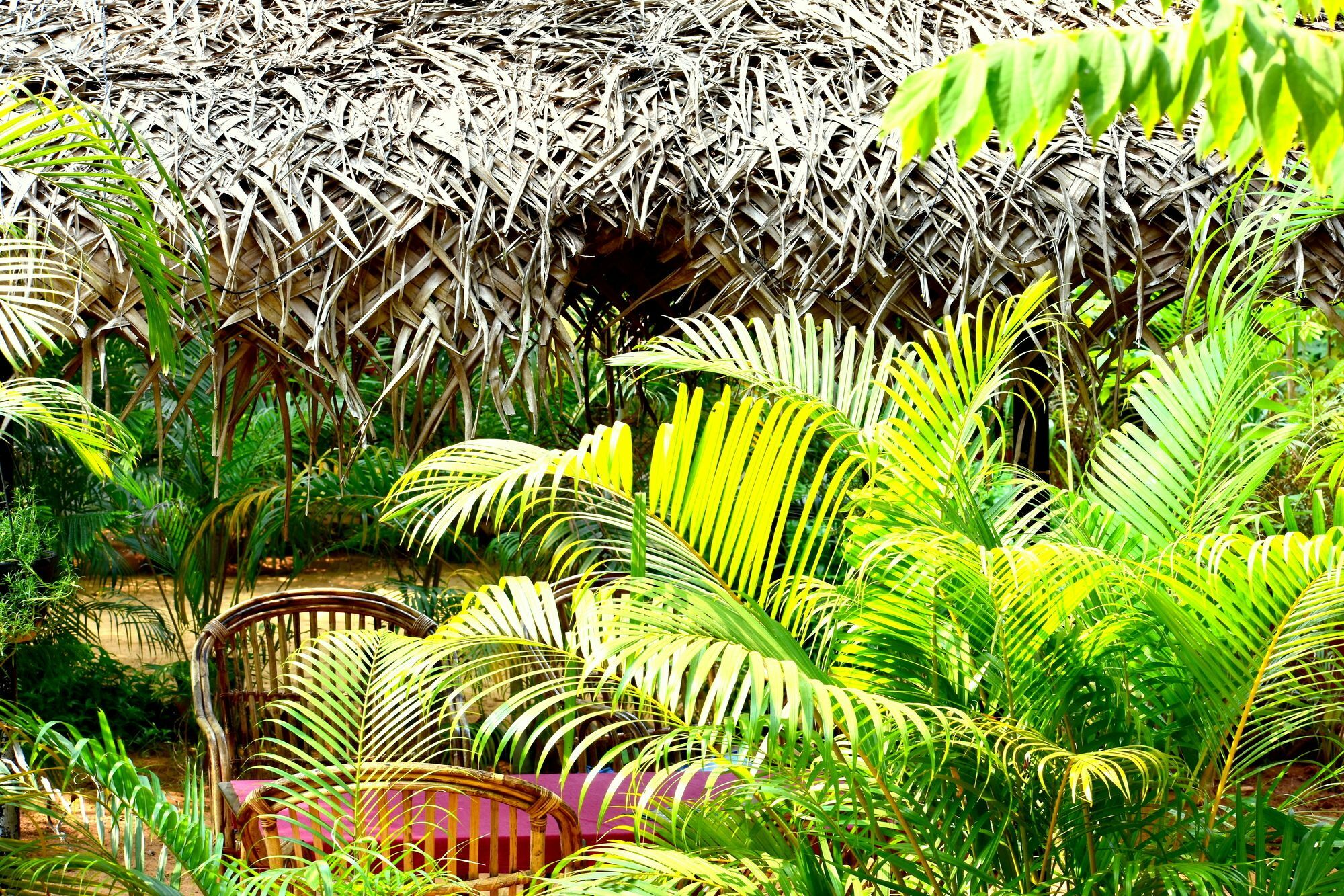 Patnem Garden Resort Patnem Beach Luaran gambar